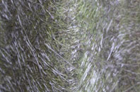 Shorncote fibreglass roof work